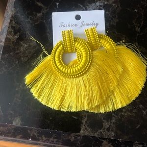 Hanging earrings NWT